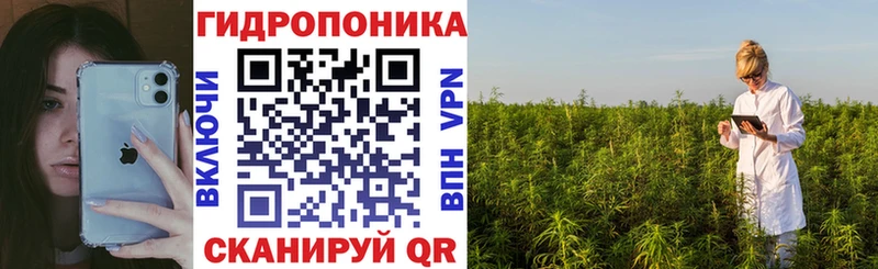 Бошки Шишки марихуана Купить закладки Ершов
